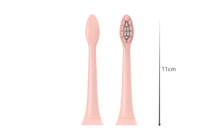 Specification of Toothbrush Replacement Head Specification of Toothbrush Replacement Head